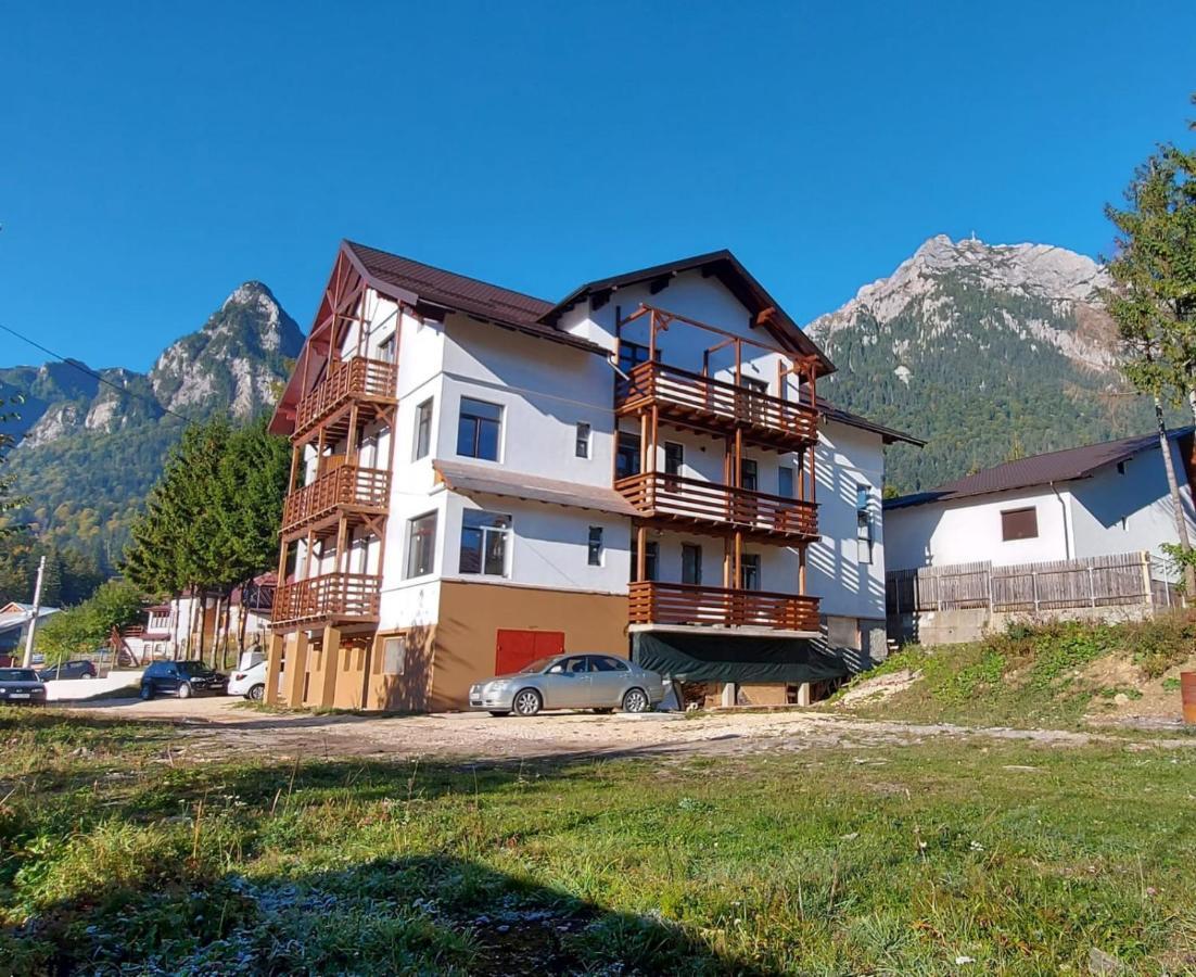 Vila Panoramic Busteni Ngoại thất bức ảnh