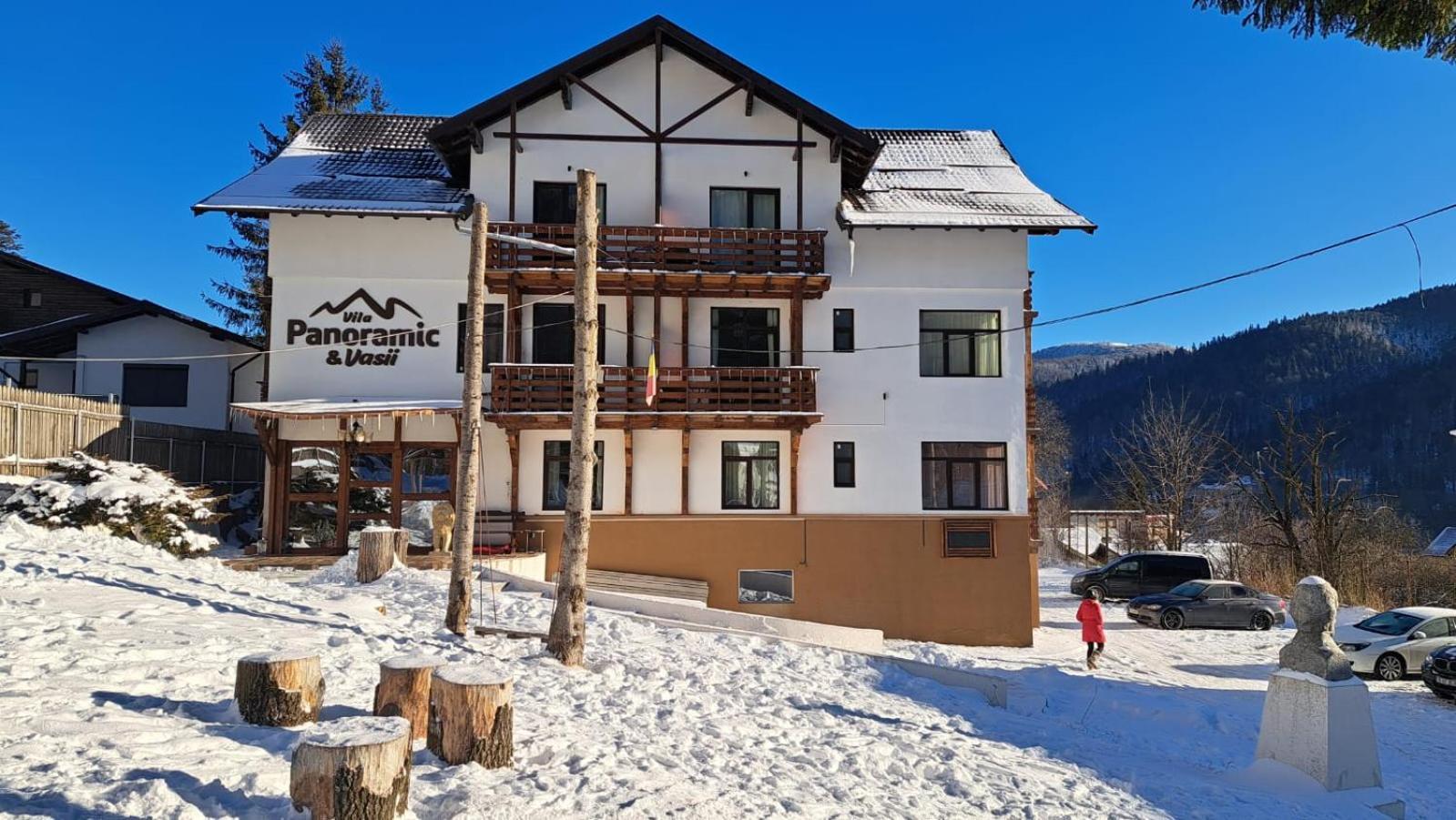 Vila Panoramic Busteni Ngoại thất bức ảnh